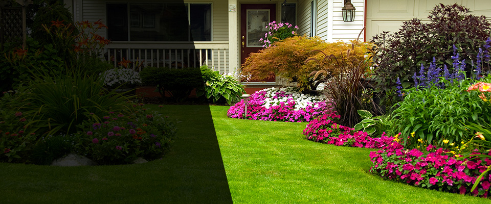 Walters Landscapers