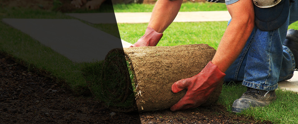 Walters Landscapers